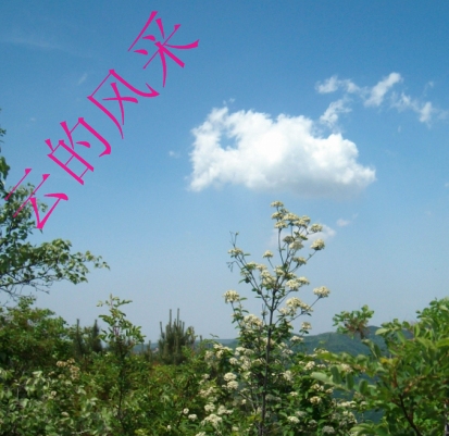 美丽的自然风光
