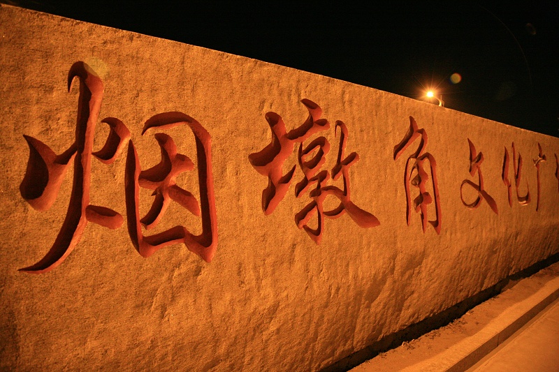 天鹅飞走了!