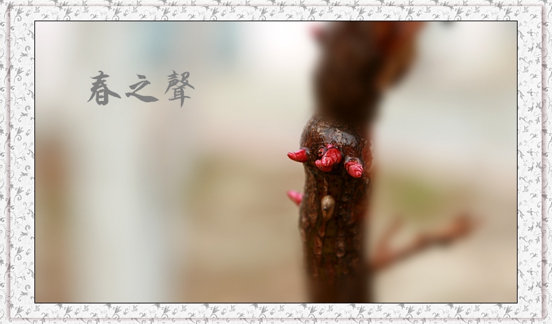 春之声