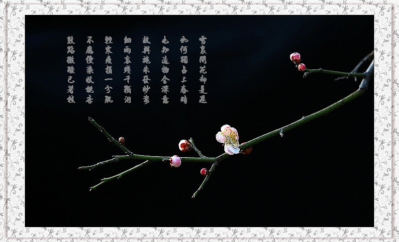 春之声