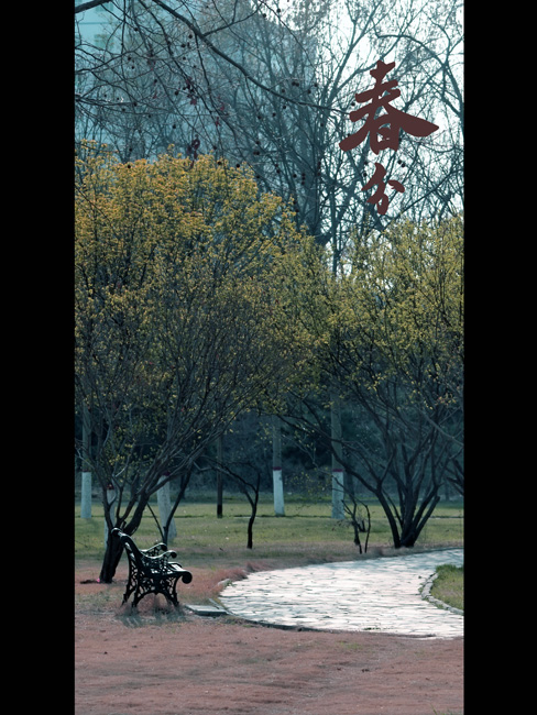 戚城小片一张——本周作业