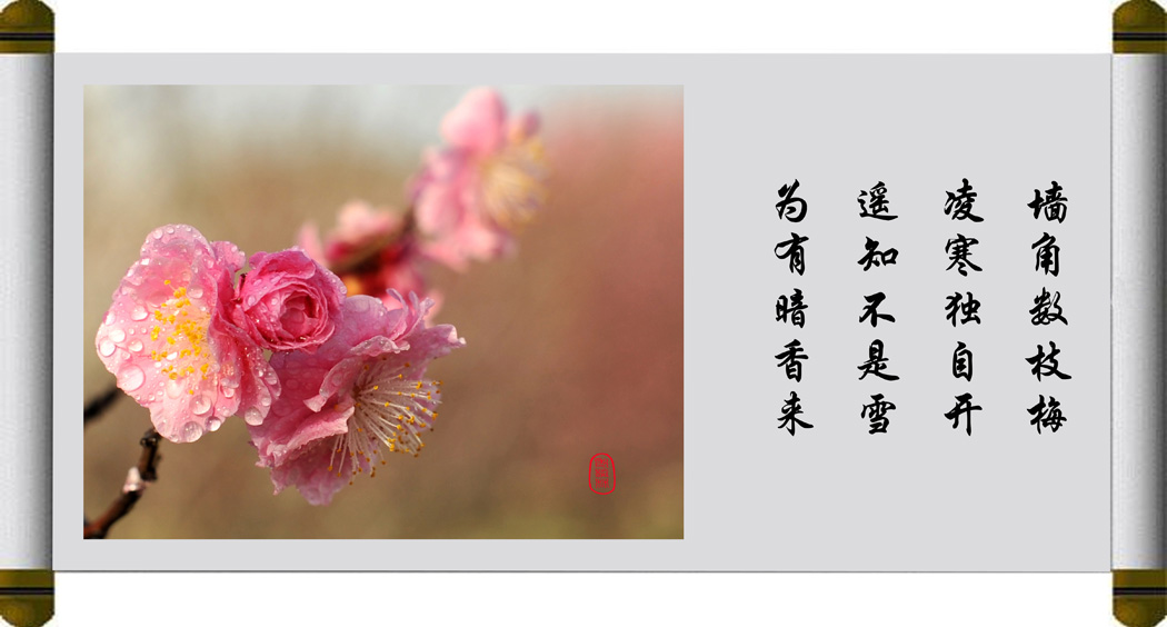 [原创]梅花图