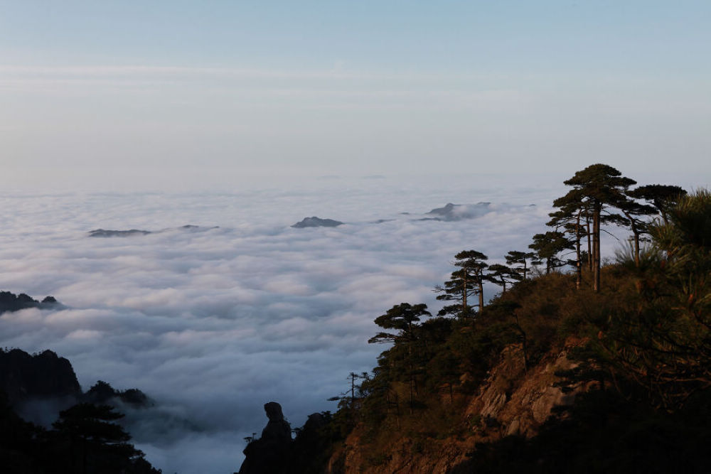 iEnbmVoY.jpg