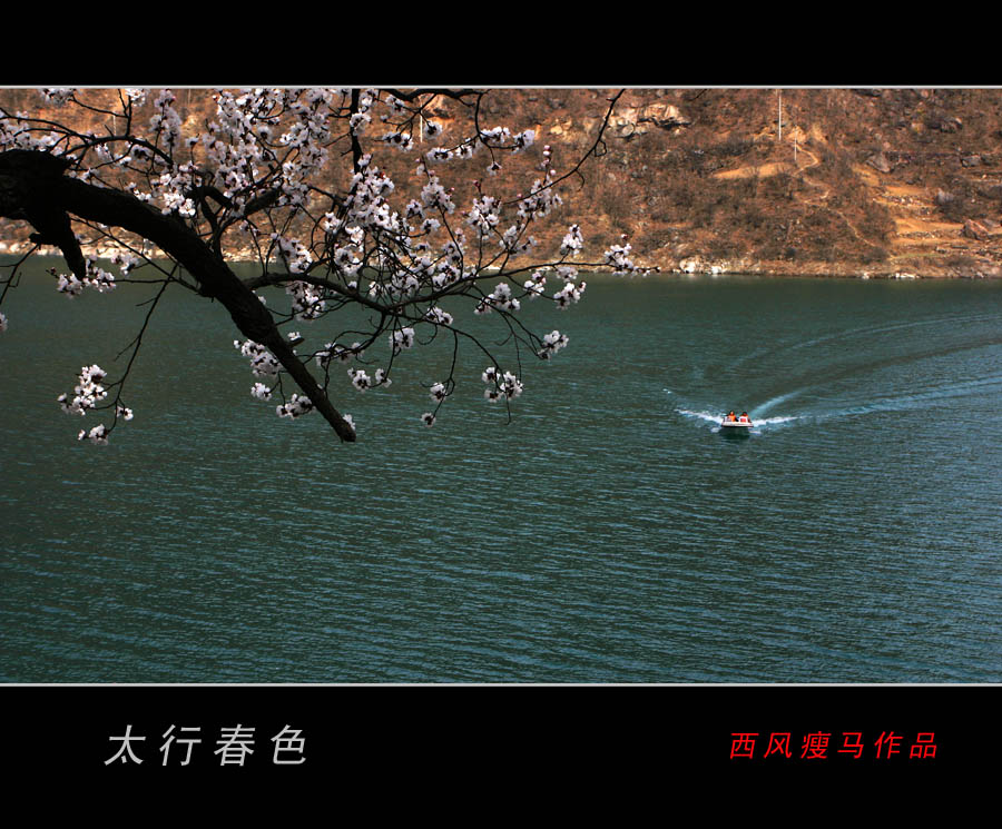 每日一片  天天更新