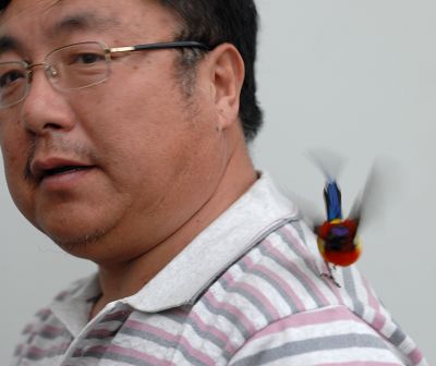 自留地里训鸟人
