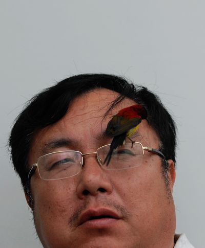 自留地里训鸟人