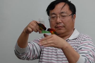 自留地里训鸟人