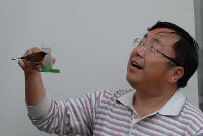 自留地里训鸟人
