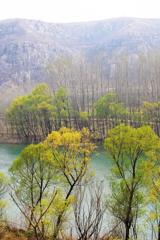 春风又绿淇河岸