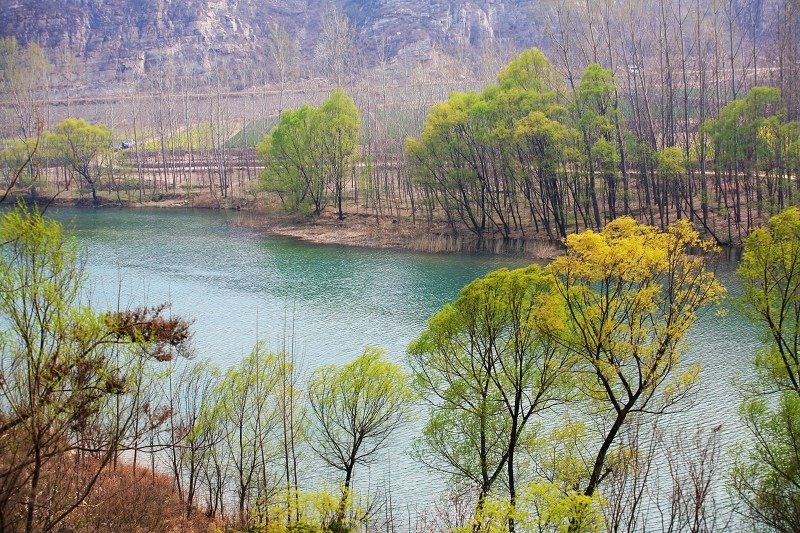 春风又绿淇河岸