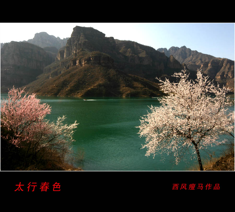 每日一片  天天更新