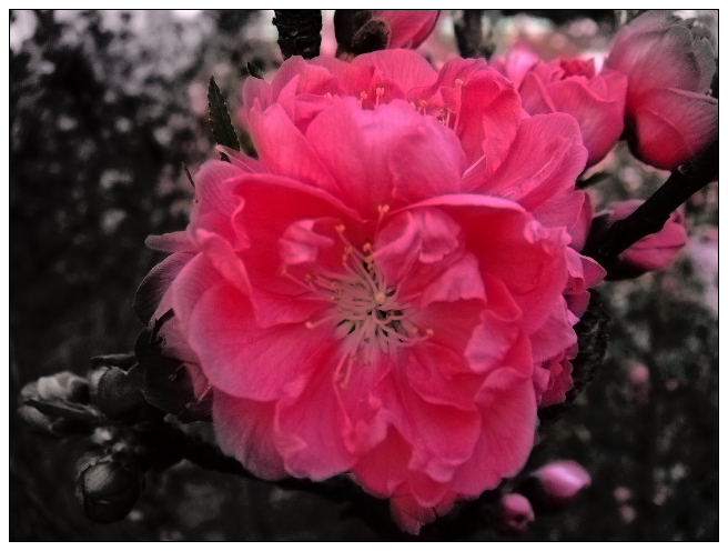 桃花
