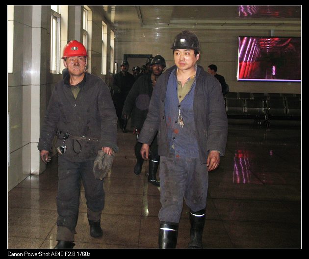 采摘光明的人们
