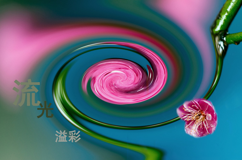 创意梅花