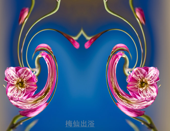 创意梅花
