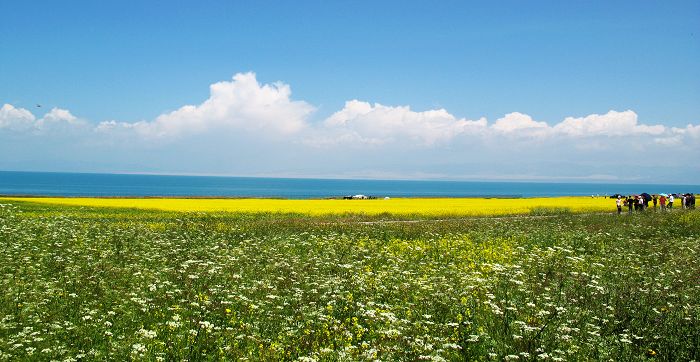 [原创]美丽的青海湖