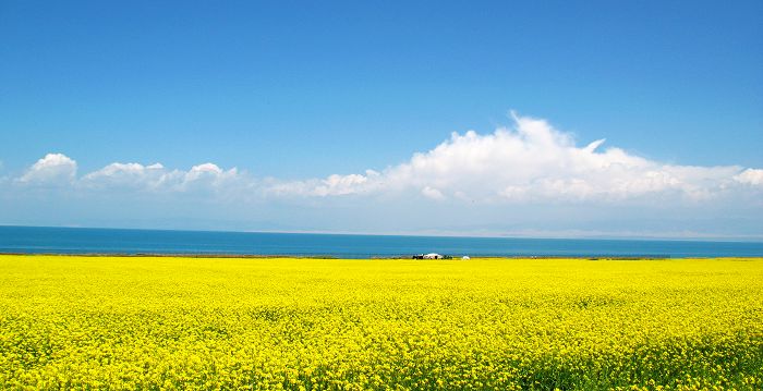 [原创]美丽的青海湖
