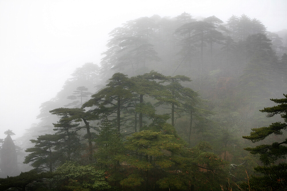 黄山【组】