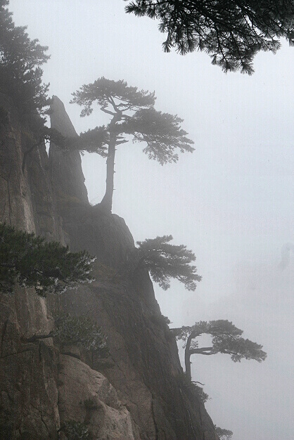 黄山【组】