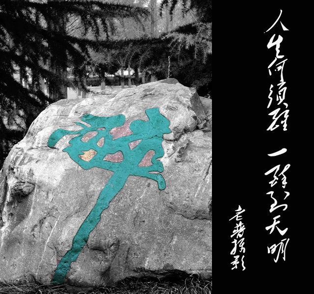 [原创]酒话