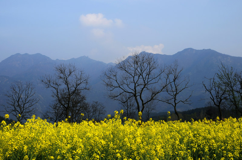 快乐山村