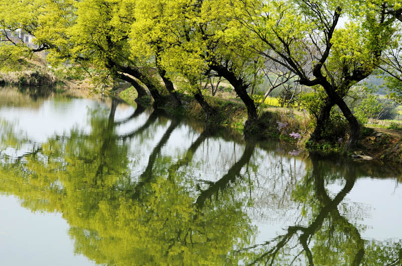 快乐山村