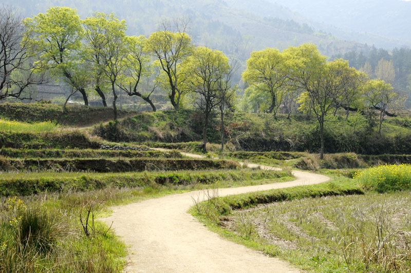 快乐山村