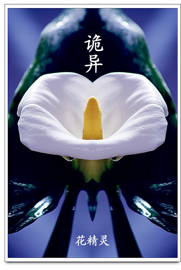 PS之鬼异精灵