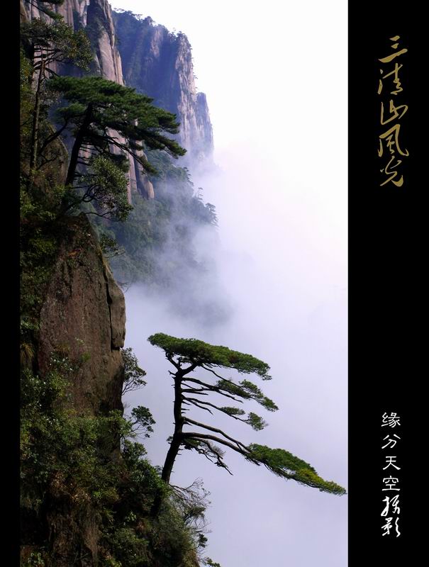 交作业----鹜源春色