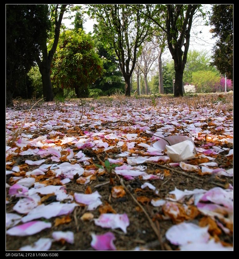 落英缤纷