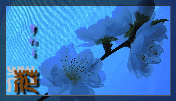 梦幻之花