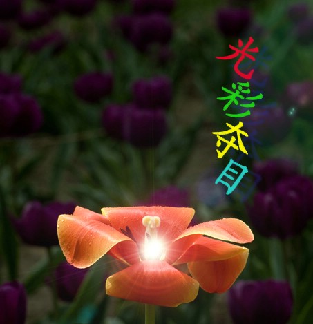 虽败犹荣