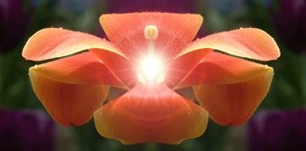 虽败犹荣