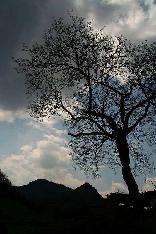 山雨欲来