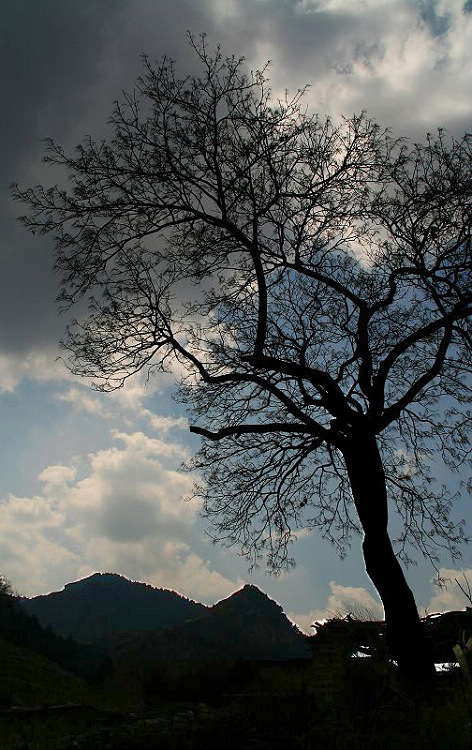 山雨欲来