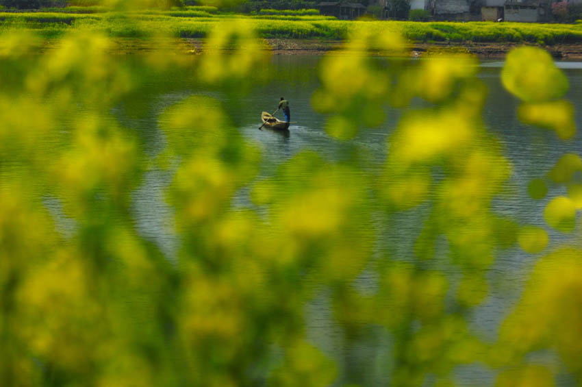 [原创]徽南春色