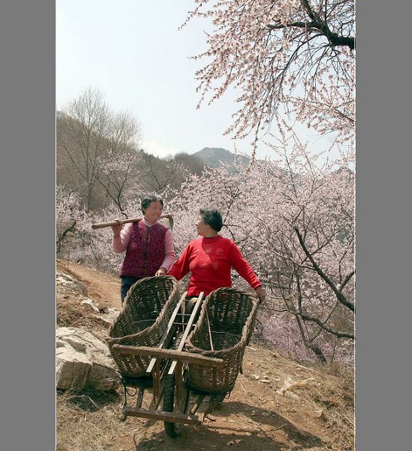 山间偶得（几张练习）