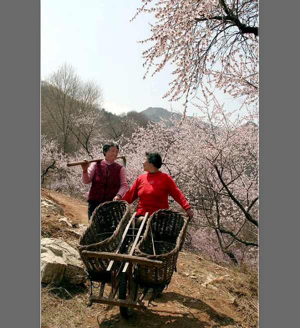 山间偶得（几张练习）