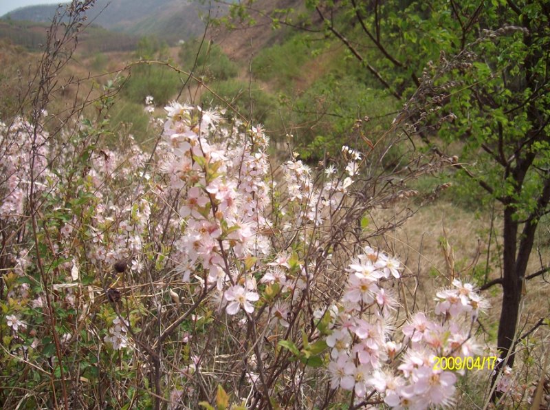 甘山里的自然风光
