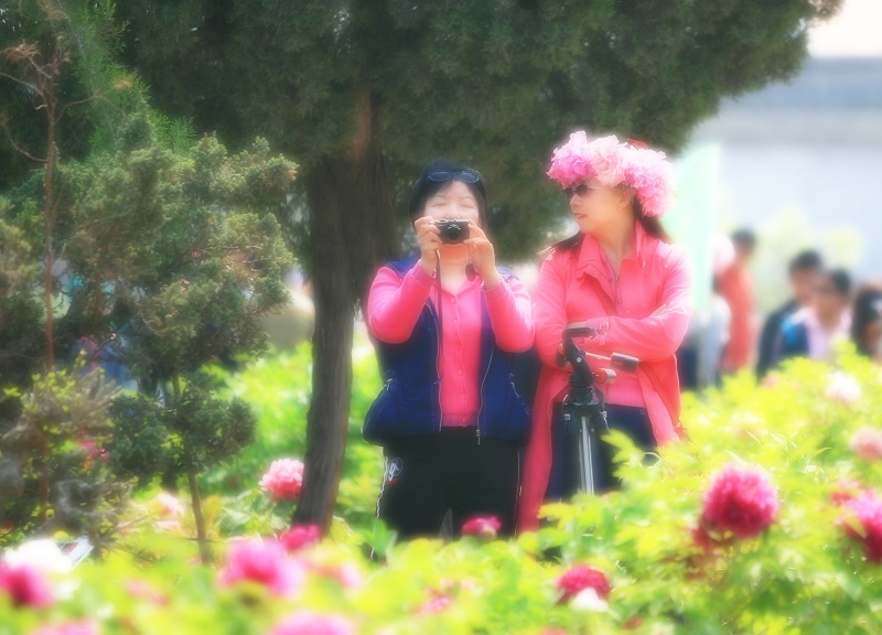 他在花丛中.啊.