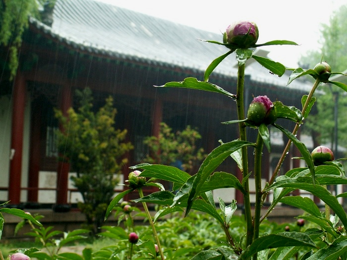 下雨了