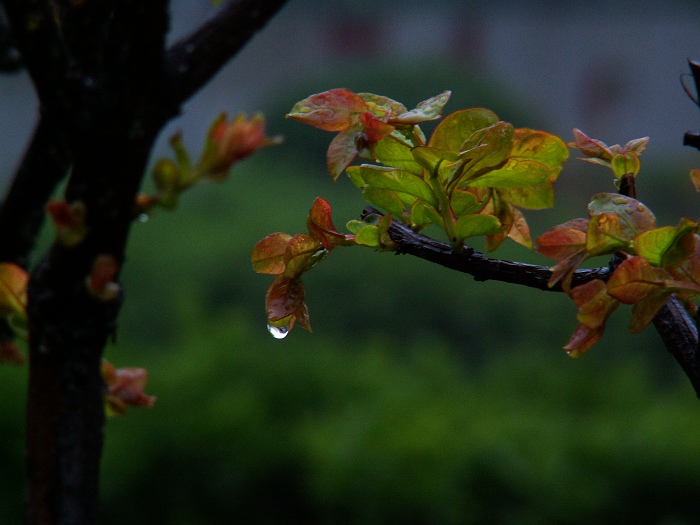 下雨了