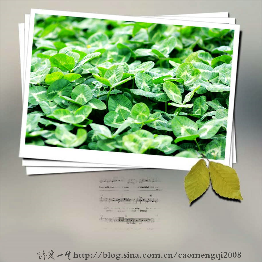 照片就是心情的缩影