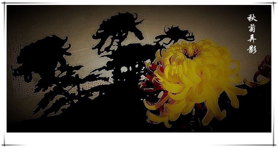 梅兰竹菊花卉帖