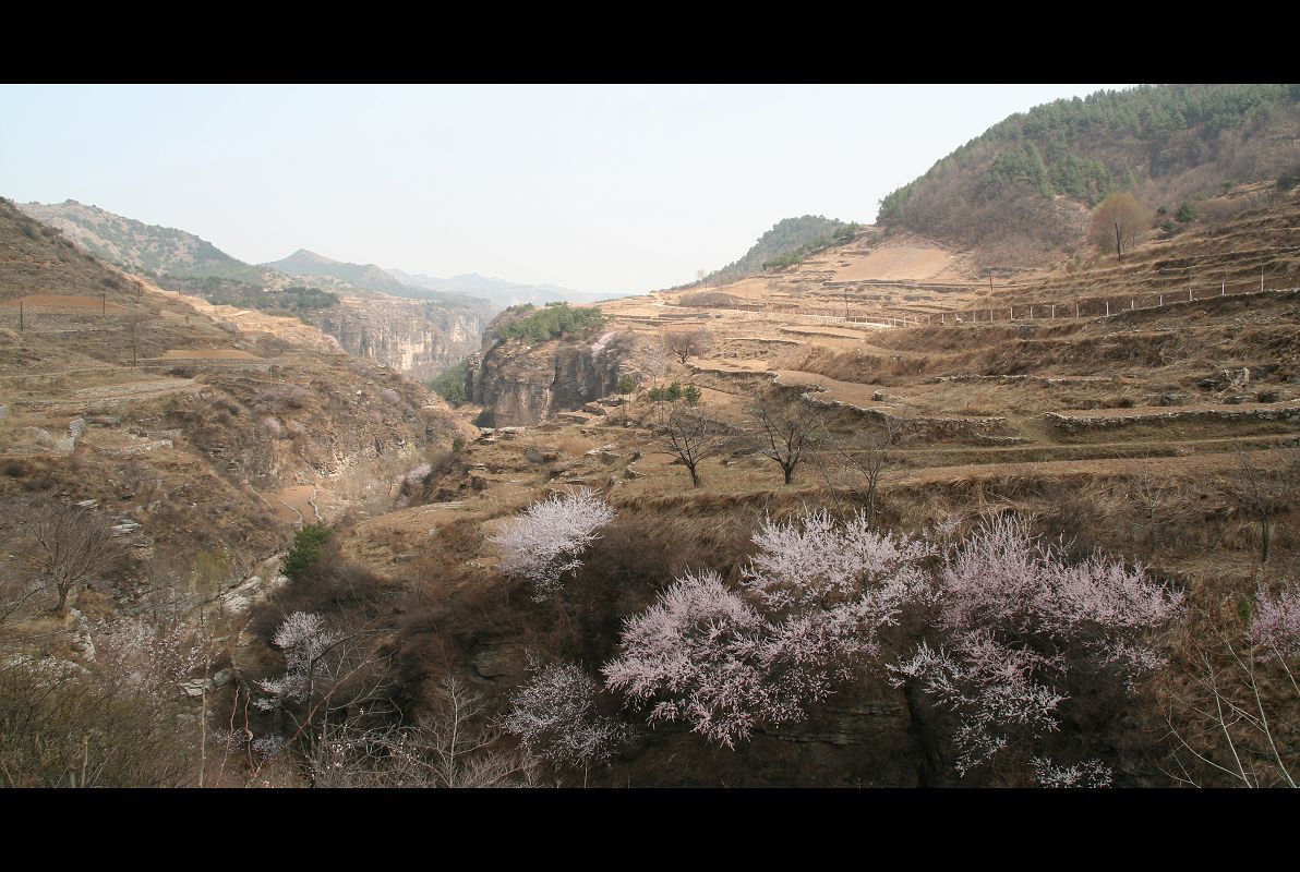 野山（PS效果）