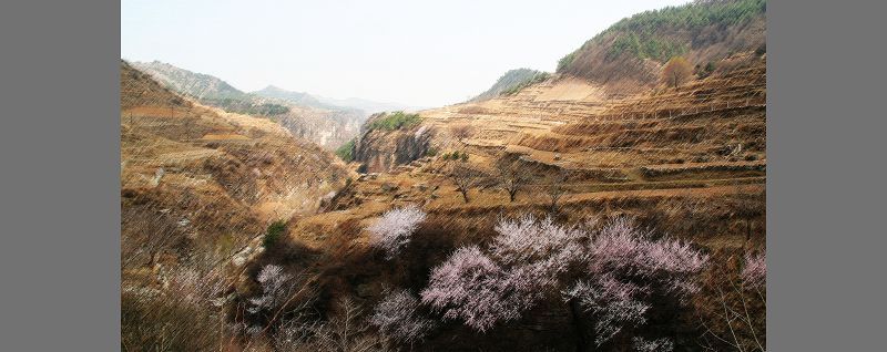野山（PS效果）