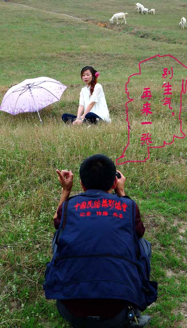 花采菏泽牡丹记絮