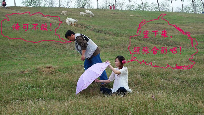 花采菏泽牡丹记絮