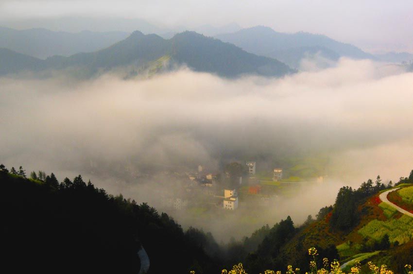 [原创]春潮涌动
