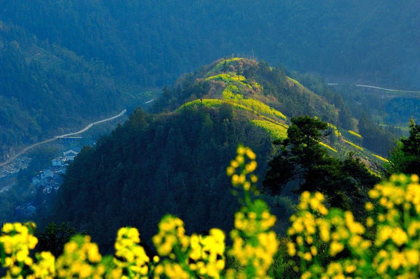 [原创]春潮涌动